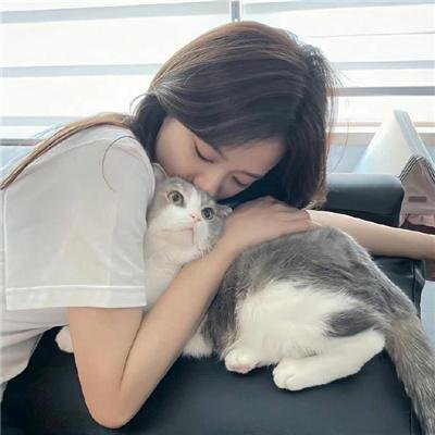 警局无贼