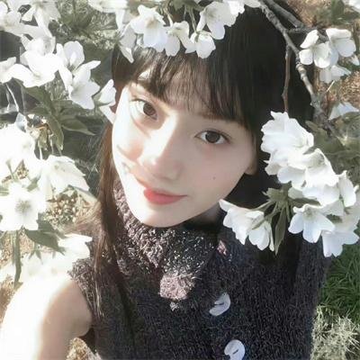 网红养成记国语